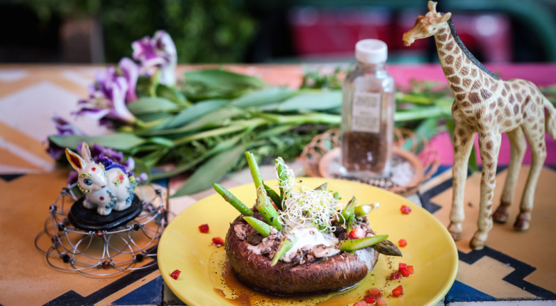 Para Verdeo. Dirección de arte por Felipe Hernández.